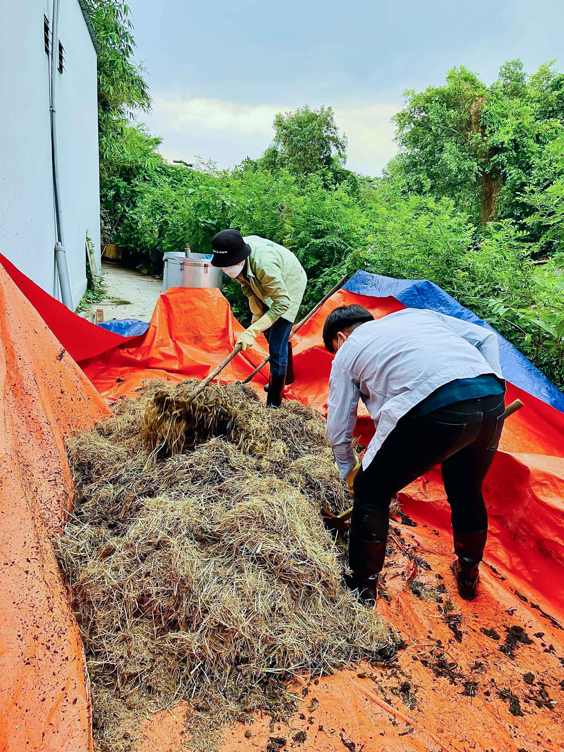 vlu-du-an-nghien-cuu-san-xuat-thu-nghiem-va-danh-gia-chat-luong-compost-c.jpg
