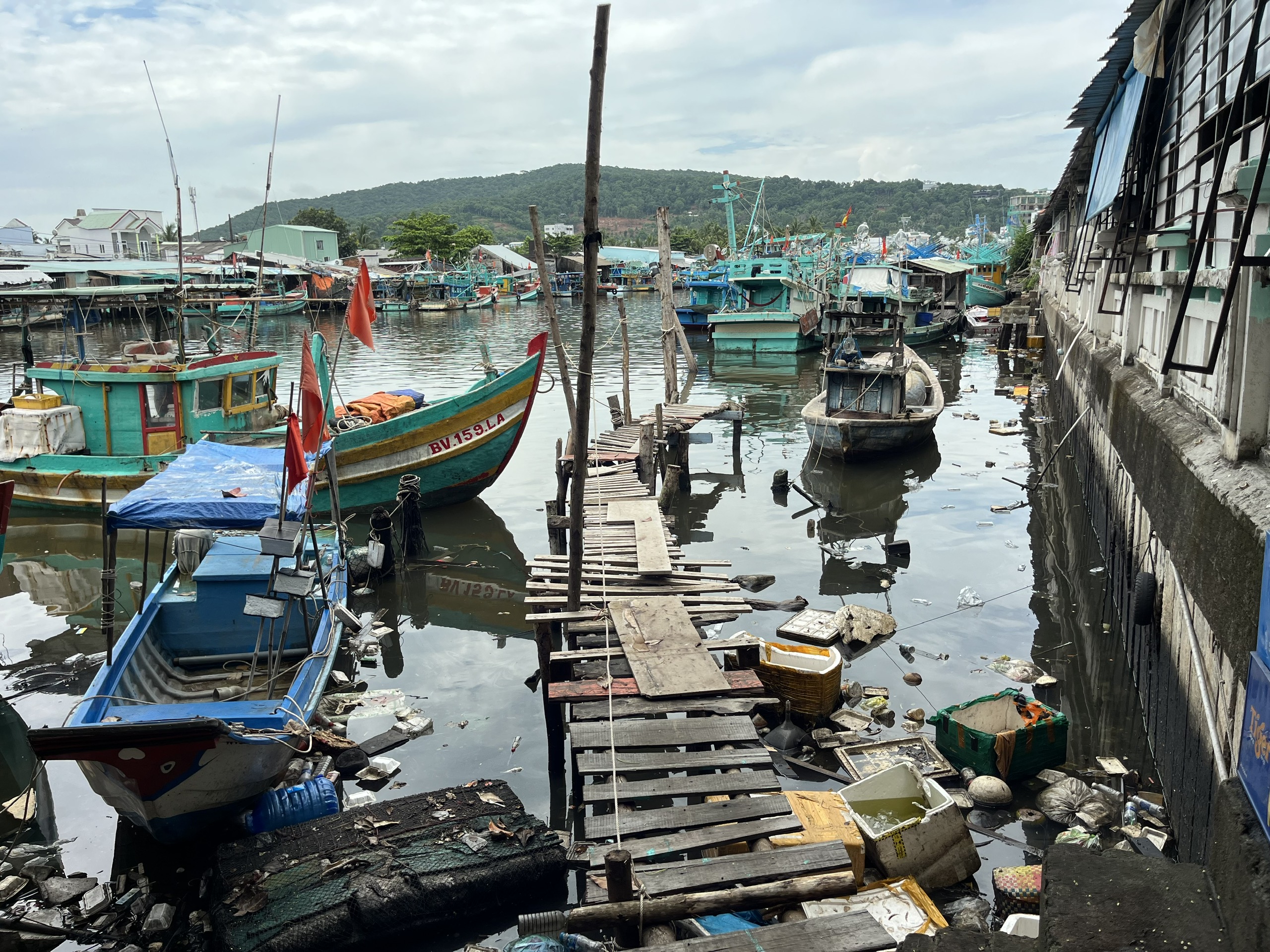 z6005305376887_31016deb4c2a8517decacf8277836d85.jpg